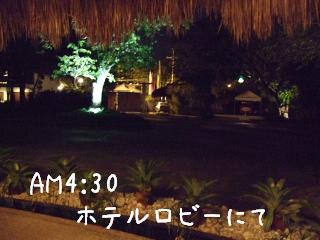 0211~15@Zu 032.jpg