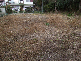 0221 船橋 001.jpg