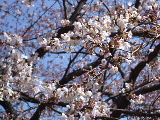 0402 001.jpg