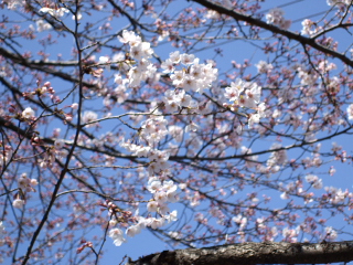 0402 003.jpg