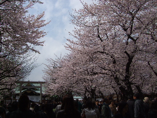 0403 001.jpg
