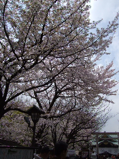 0403 002.jpg