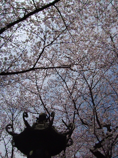 0403 004.jpg