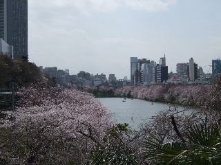 0403 007.jpg