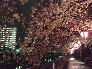 0404 009.jpg