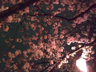0404 010.jpg