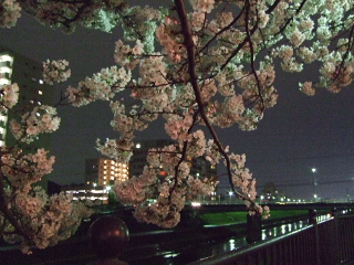 0404 012.jpg