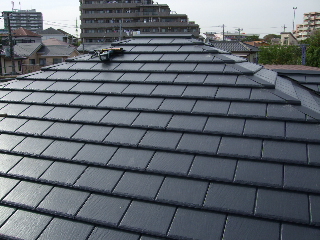 0508 船橋 015.jpg