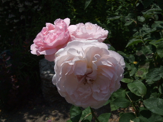0604~06  006.jpg