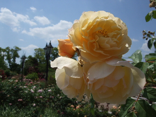 0604~06  009.jpg