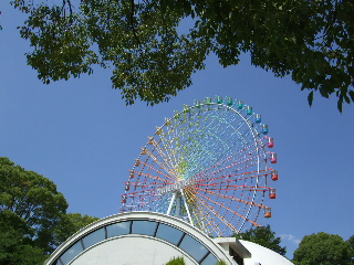 0604~06  015.jpg