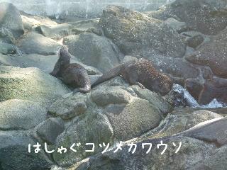 0604~06  020.jpg
