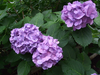 0628 003.jpg