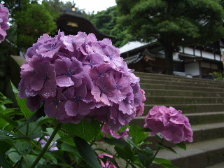 0628 006.jpg