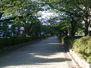 0718 002.jpg