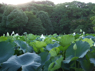 0718 008.jpg