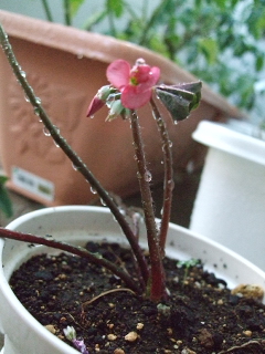 0804 002.jpg