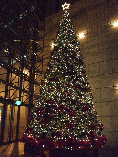 081123 001.jpg