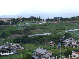 0813~14 015.jpg