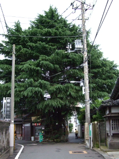 090606 007.jpg