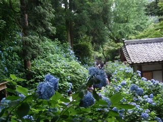 090627 072.jpg