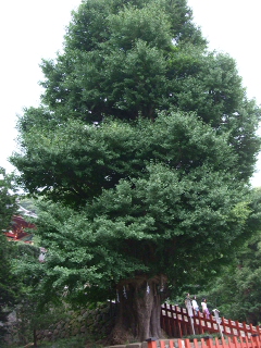 090719 003.jpg