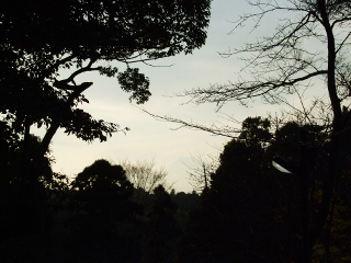 1212 006.jpg