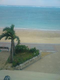 20081205171330.jpg