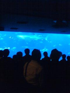 20081206150143.jpg