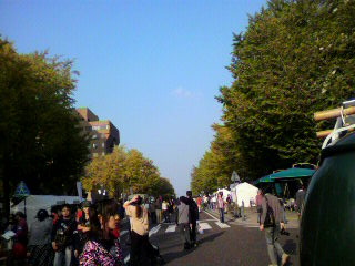 2009103114410000.jpg