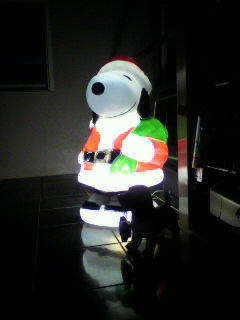 2009120616540000.jpg