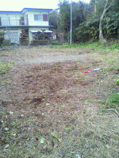 2010031316410000.jpg