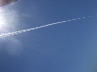 201008 010.jpg
