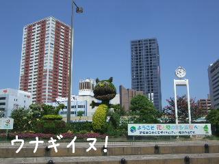 20100911~12 001.jpg