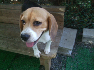20100911~12 006.jpg