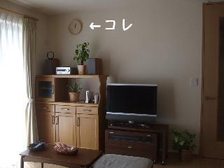 20100927 005.jpg