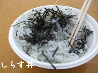20101009 002.jpg