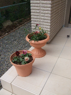 20101022 01.jpg