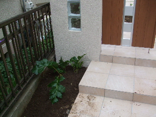 20101022 010.jpg