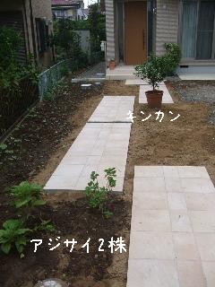 20101022 011.jpg