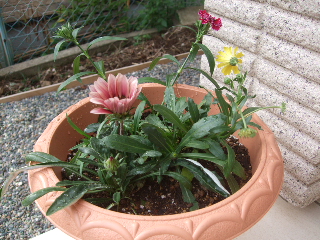 20101022 02.jpg