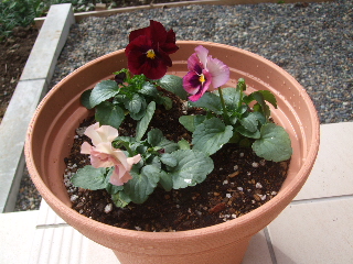 20101022 03.jpg