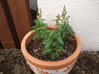 20101022 05.jpg