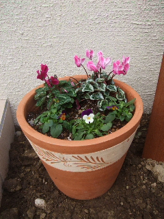 20101022 06.jpg