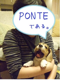 20101205-2.JPG