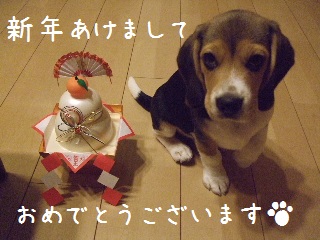20110101.JPG