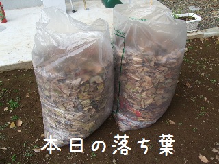 BLOG3105.JPG
