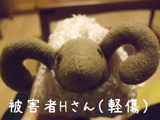 BLOG3417.JPG