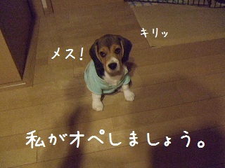 BLOG3422.JPG