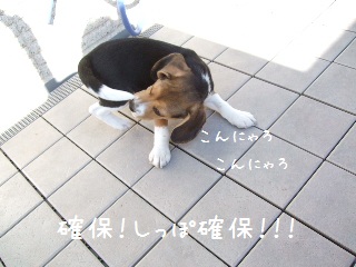 BLOG3502.JPG